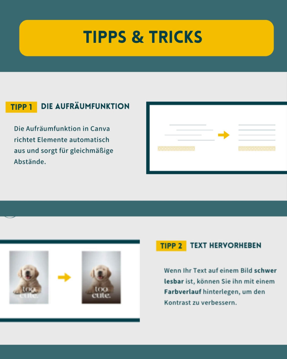 Canva-Starter-Guide-Lets-Rock-2-980x1225 (1)